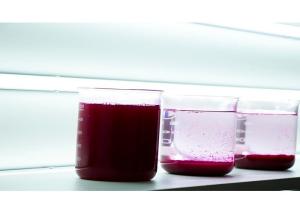 Wholesale Water Treatment Flocculating Agent Coagulator water Decoloring Agent from china suppliers