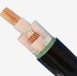 Fire Resistant XLPE Copper Armoured Cable Wire Insulated With Low Smoke