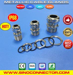 Wholesale Metal (Brass, Copper) Watertight Straight Cable Glands IP69K/IP68 with PG &amp; Metric Male Threads from china suppliers