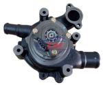 W06E 16100-2531 Car Power Steering Pump For Hino , Diesel Engine Water Pump OEM