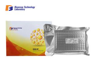 Wholesale Mouse Undercarboxylated Osteocalcin ELISA Kit Strong Sensitivity For Research from china suppliers