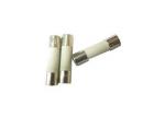 One Time 5x20mm Slow Blow Ceramic Tube Fuse 250V 125V 250mA T With Breaking
