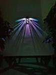 IP65 waterproof soalr fence lights for garden or wall outdoor solar garden wall