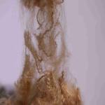 Recycled PET 4080 4D Short Staple Fiber 64mm Brown For Industrial Use