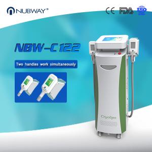Wholesale Slimming Machine Weight Loss Body Slimming Fat Freezing Cryolipolysis Machine from china suppliers
