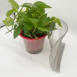 Stainless Steel Gopher Wire Baskets Reliable Solution For Crop Protection