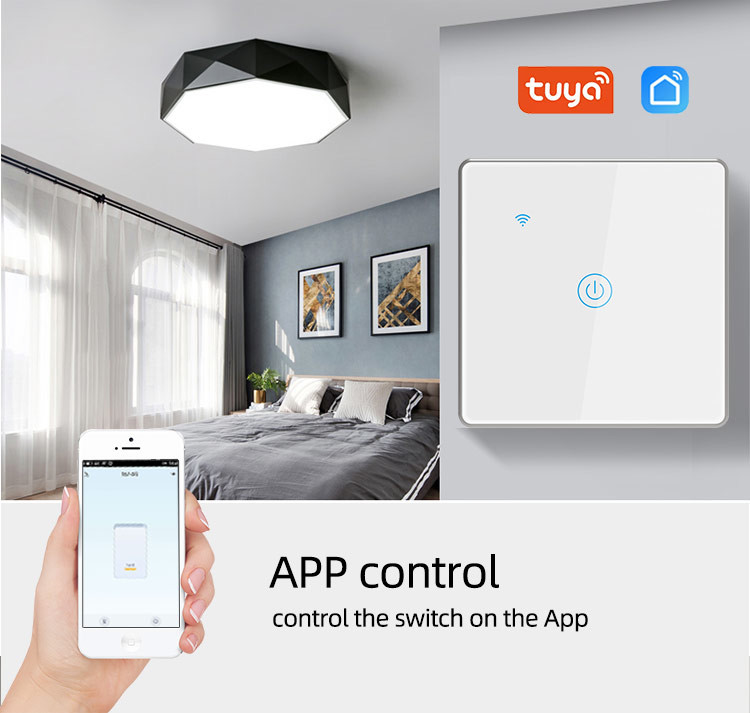 Tuya Wifi Smart Timer Switch Manufacturer Eu Standard 2 gang Led Sensor Light Voice Control Touch