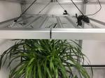Horticulture IP65 3500K 1000 Watt LED Grow Lights