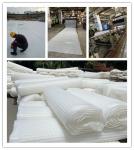 Strong Compression Resistance Drainage Cell Plastic Drainage Systems 2.0mm Cup