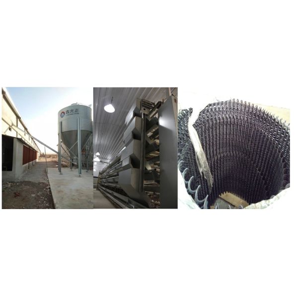 Industrial Livestock Steel Structure Farm House Use Colorful Panel