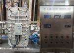 250 Litres Ultrapure RO Water Treatment System Stainless Steel Tank