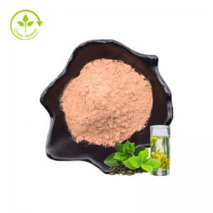 Wholesale Green Tea Extract Food Antioxidants Relieves Allergies Tea Polyphenols EGCG Powder from china suppliers