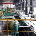 Push Pull Acid Pickle Production Line 500000Ton