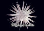 Hot Shiny Silver Inflatable Light Star with 81 horns for Party and Concert
