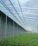 20.000kg Package Gross Weight Multi Span Tomato Cucumber Strawberry Growing
