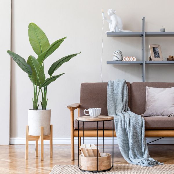 H160cm Artificial Traveller's Palm Customized Decorated For Store Office Corner Home Decor