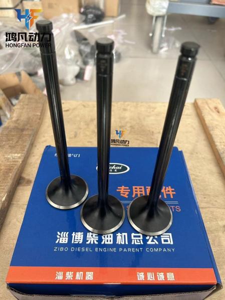Zichai L250-03-031A Marine Diesel Engine Parts L250-03-004A Intake Valve Exhaust