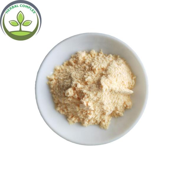 honeydew melon powder buy powdered musk melon best health benefits mixed drinks