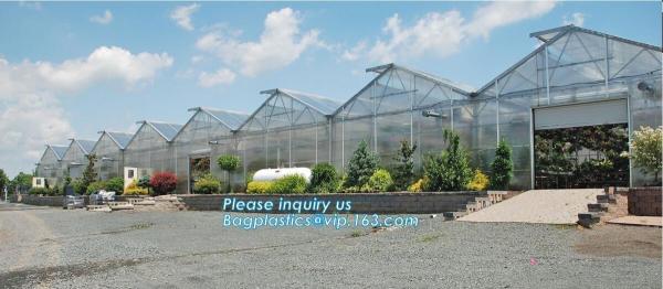 Tunnel Green House with Insect Screen,tunnel green house for crops planting