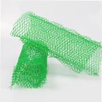 Slope Protection HDPE Plastic Geonet 3D Erosion Control Mat Geomat for Planted