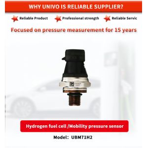 UBM71H2Y EC-79 TE Hydrogen Storage Pressure Sensor With 316L Wetted Materials