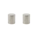 Epoxy Coated N42 Cylinder Neodymium Magnet for Home Office Industry Customizable