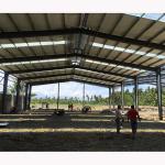 Workshop Steel Structure Building , Industrial Steel Warehouse Construction