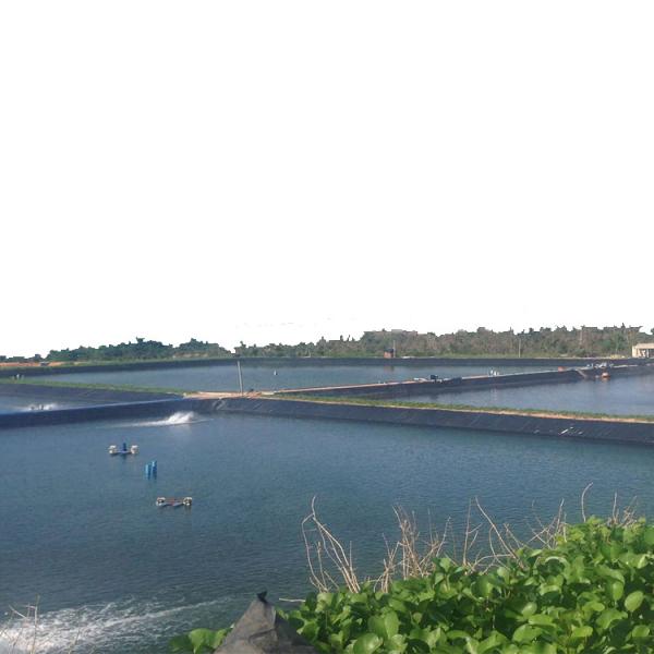 Blue HDPE Geomembrane Sheet for Fish Pond 0.1mm 3mm and Onsite Installation