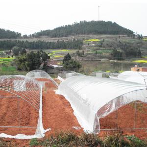 Wholesale Polytunnel Plastic Film Agricultural Sawtooth Greenhouse Multi-span from china suppliers