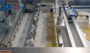 Wholesale Efficient Petri Dish Fill Machine With Inkjet Printing Holes On Conveyor Belt from china suppliers