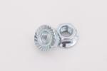 DIN EN 1661 Flange Nuts Carbon Steel Cold Forging