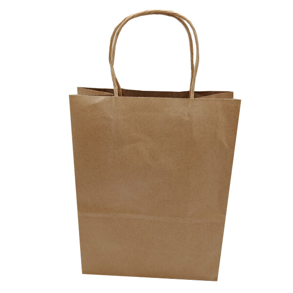 Rectangle Twisted Handle Paper Bags None Pattern Type For Unisex