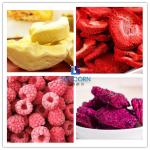 Electric Heating Home Freeze Dryer For Curry Sausage Omelette