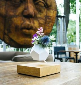 Wholesale colorful magnetic levitation floating air bonsai plant pot ,magnetic levitation display racks from china suppliers