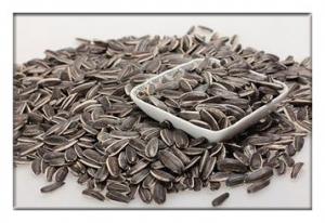 Wholesale Sunflower seeds,Sunflower kernels ,Black long shape sunflower from china suppliers