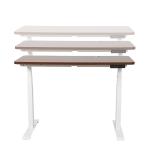 Dual Motor Electric Height Adjustable Desk for Executive Directors in Modern