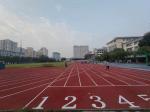 Athletes Sandwich System Rubber Running Track Shock Absorption EPDM Surface