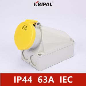 Wholesale IP44 4P 63Amp Industrial Power Socket Wall Mounted IEC standard from china suppliers