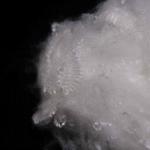 White Polyester Staple Fibers 51mm A Grade Eco-Friendly Microfiber For Pillows