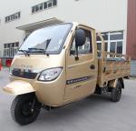 Motorized Tricycle 300CC Carga Triciclo Cargo Red Driving Type Motorized Closed
