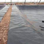 Fish Farm Pond Liner HDPE Geomembrane in Black White Blue or Green Length 50
