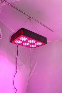 Wholesale Cidly LED 6 hydroponics farm 3w high power led grow light/200w full spectrum plant lights from china suppliers