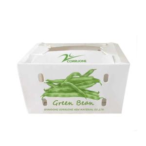 Wholesale Black Corriflute Fruit Corrugated Boxes Corrugated Plastic Storage Containers from china suppliers