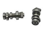 Motorcycle Camsaft for Honda WH150, XR150, CRF150, SDH150
