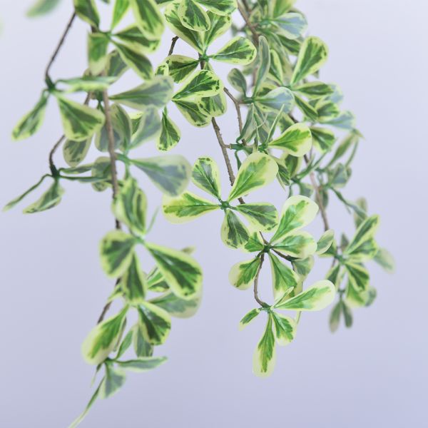 Artificial Terminalia Tree 180cm 260cm 320cm | Large Faux Tree for Hotel & Commercial Landscaping | Indoor Outdoor Decor