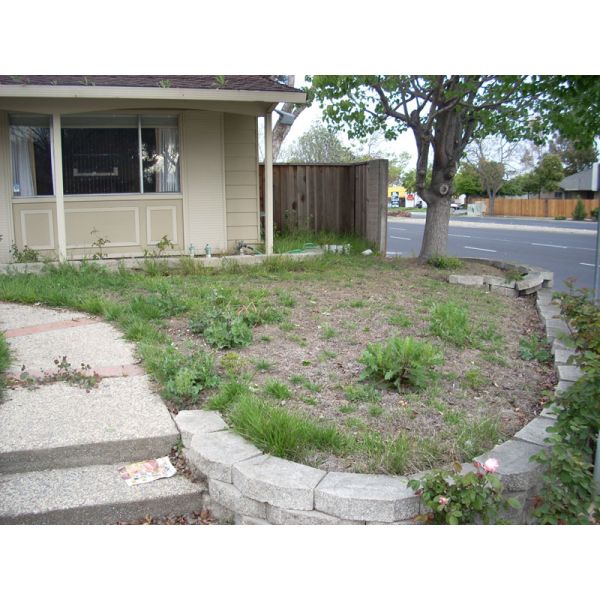 40mm Always Green Synthetic Lawns 1x25m 2x25m Garden Artificial Grass For Decorative