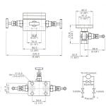 100C Instrument Manifold Valve Three Valve 5000 Psi Flange 1/2'' Female NPT
