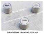 Marine Oil Tank Stainless Steel 316L Sounding Injection Head C40, Oil Tank