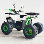 Experience the Power of Our 1000W Electric ATV 4 Wheel All Terrain Vehicle for