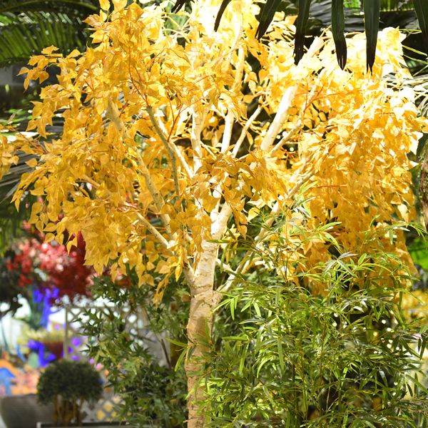 20m Artificial Foliage Tree Birch Autumn Vibe Romance No Pest No Light Floor Plants